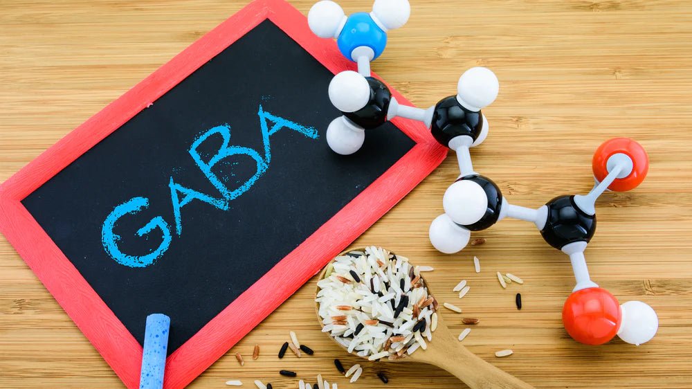 Comment améliorer son taux de GABA - Suplemint