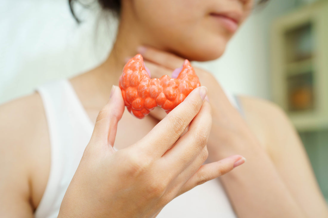 Comprendre votre thyroïde : la cheffe d’orchestre silencieuse de votre énergie