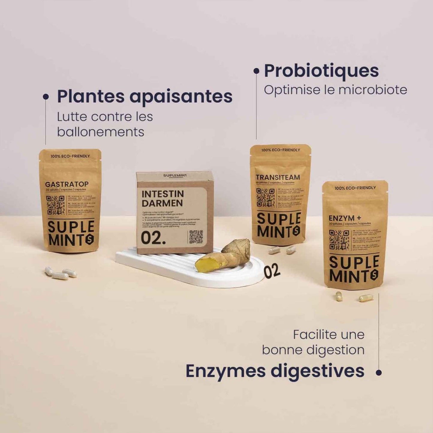 Cure INTESTIN® | Confort Digestif | Psyllium Probiotiques Enzymes Digestives | 210 gélules 30j