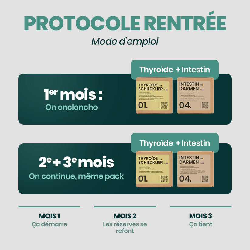 Protocole RENTRÉE® Kuur