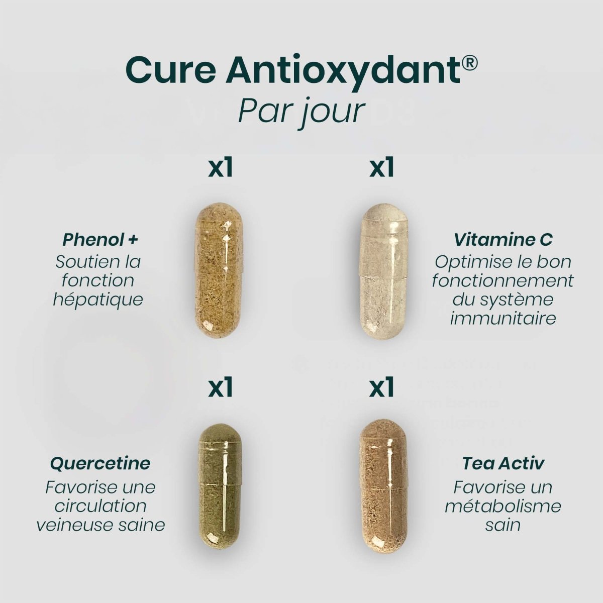 Cure ANTIOXYDANT® | Jeunesse Cellulaire | Polyphénols Vitamine C Quercétine | 120 gélules 30j - Suplemint