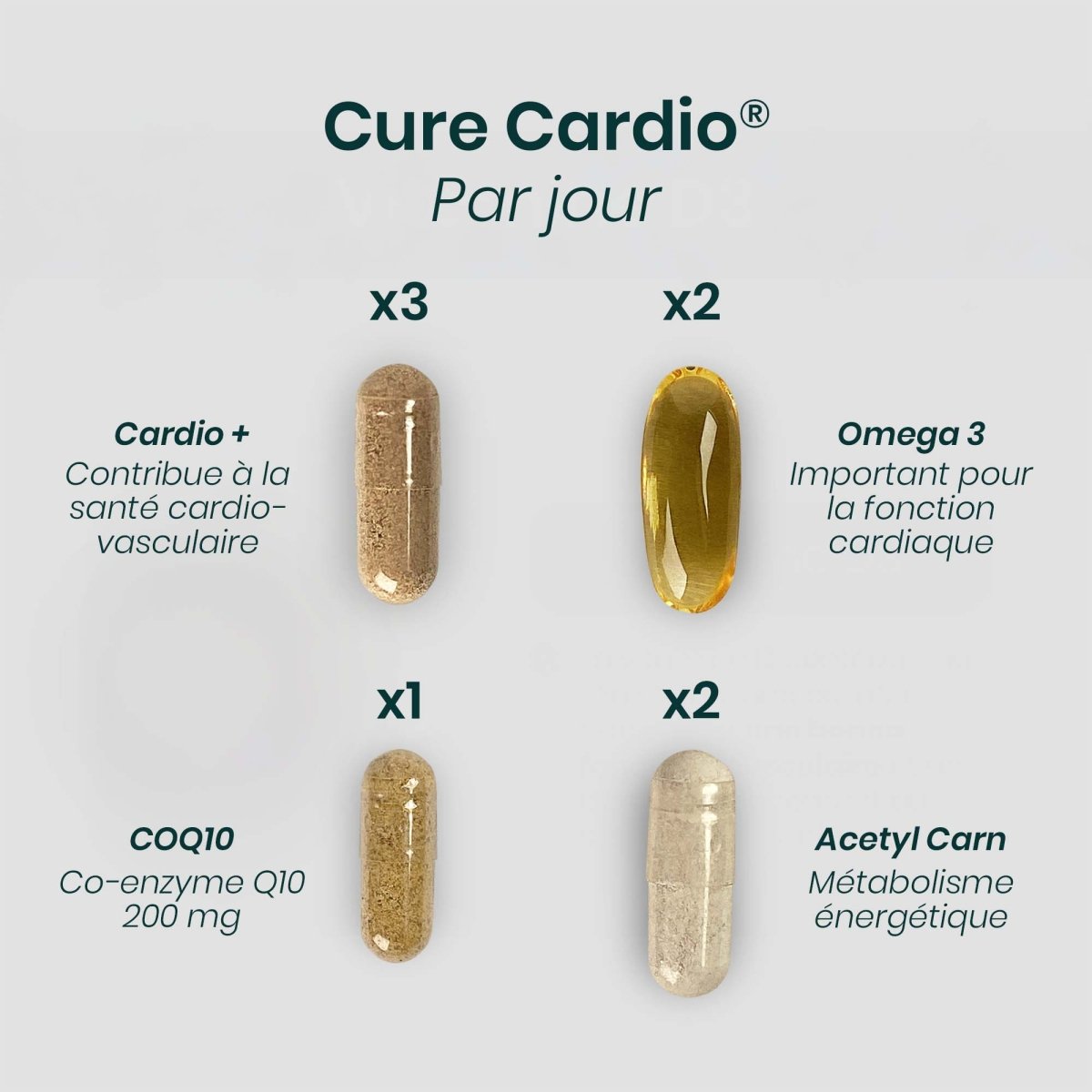 Cure CARDIO® | Vitalité Cardiovasculaire | Oméga - 3 Acétyl - L - Carnitine CoQ10 | 240 gélules 30j - Suplemint