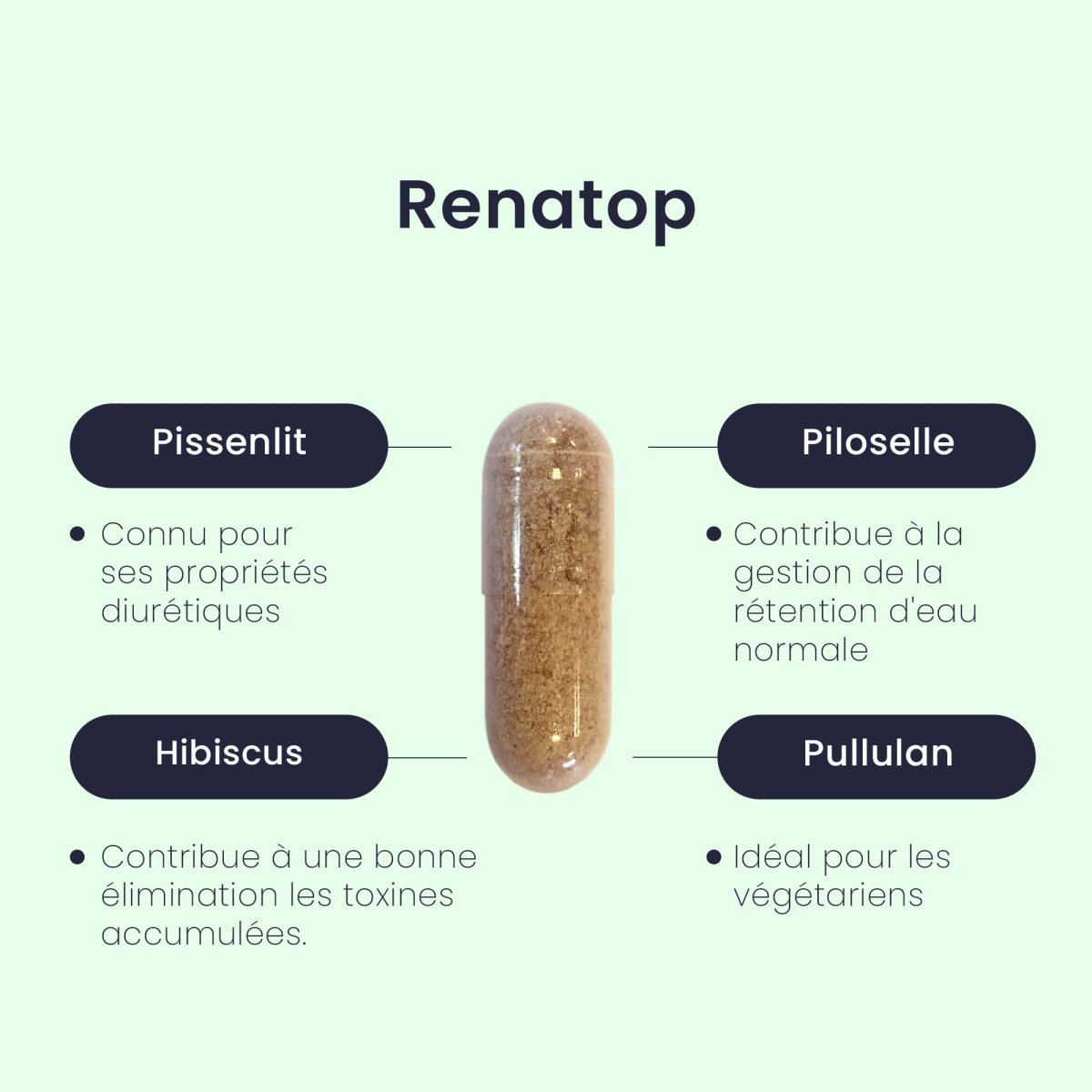 Gélule RENATOP® | Confort Rénal | Pissenlit Piloselle Hibiscus | 60 capsules - Suplemint