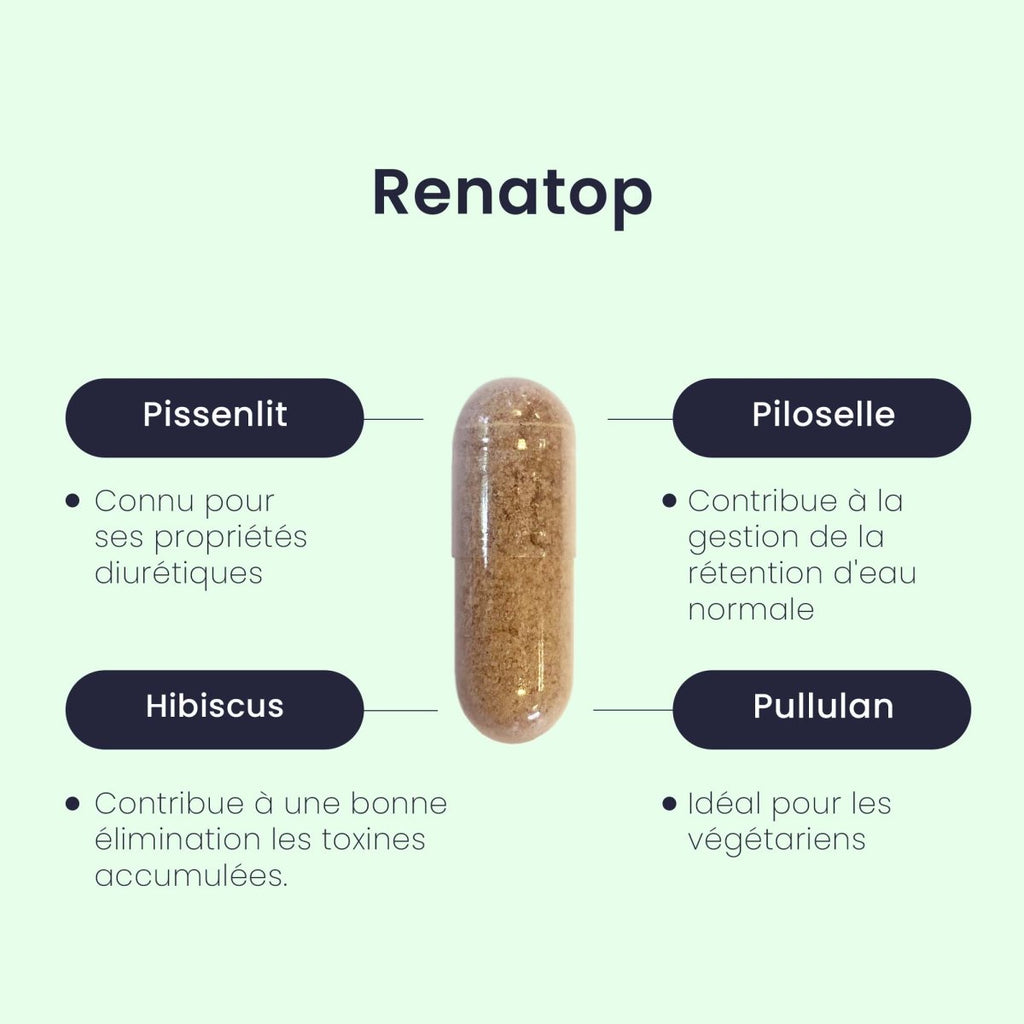 Gélule RENATOP® | Confort Rénal | Pissenlit Piloselle Hibiscus | 60 capsules - Suplemint