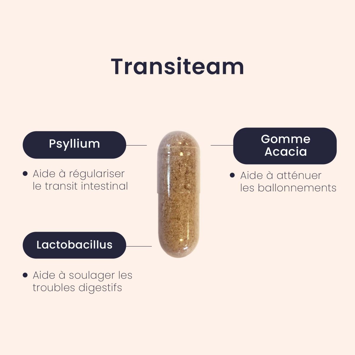 Gélule TRANSITEAM® | Transit Intestinal | Psyllium 1500mg Probiotiques 7.5 Milliards | 90 gélules - Suplemint