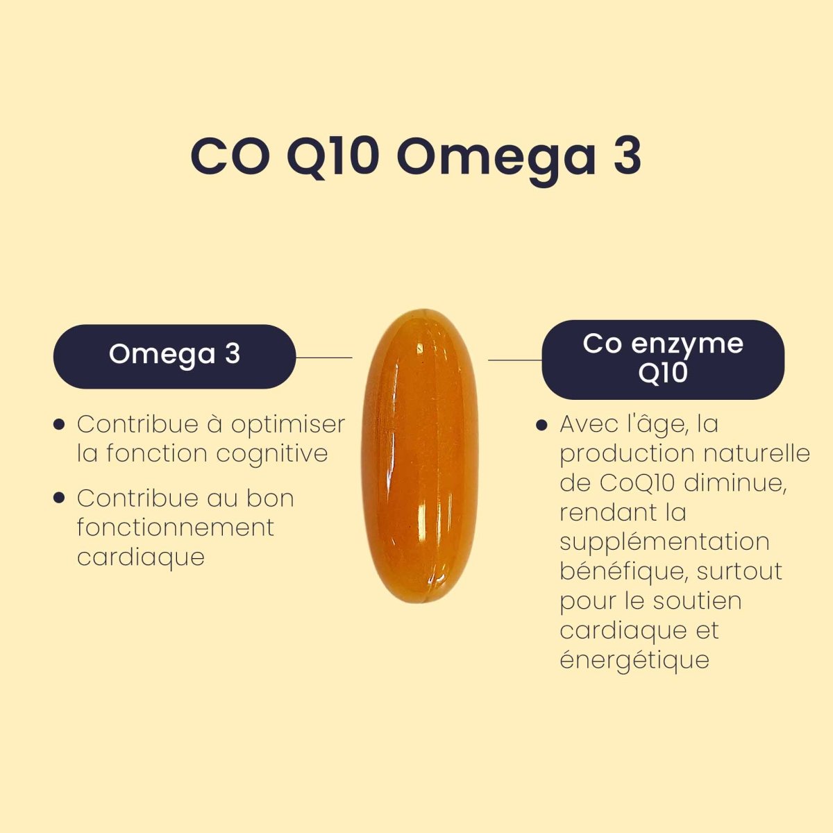 Gélules CoQ10® + Oméga - 3® | Énergie Cellulaire et Cardiovasculaire | Coenzyme Q10 100mg + EPA DHA EPAX | 2 références 30j - Suplemint